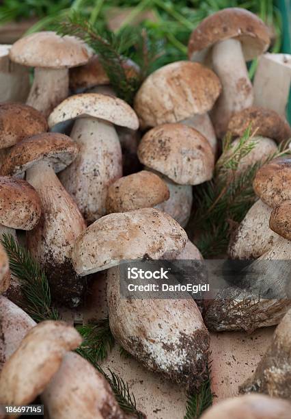 Funghi Sulla Bancarella - Fotografie stock e altre immagini di Cibo - Cibo, Composizione verticale, Fotografia - Immagine