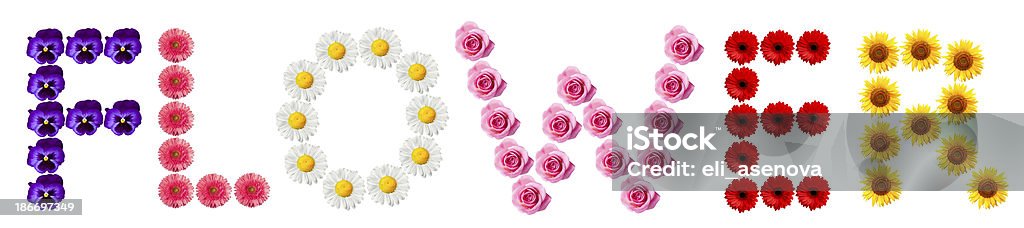 Flower Word Alphabet Stock Photo