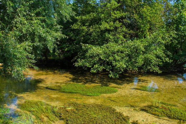 istock Una River in Bihac, Bosnia 1866991235