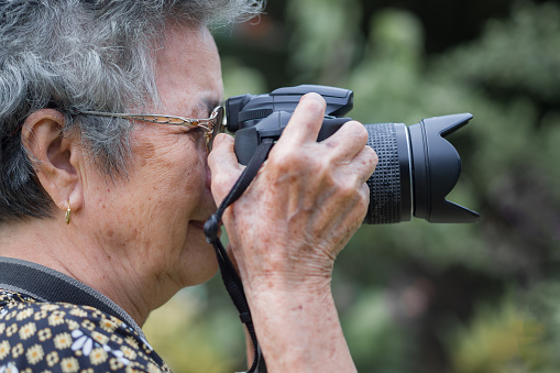 Side view of a senior woman shooting photo by digital camera at garden. Asian senior woman short white hair, wearing eyeglasses, happy when using a camera. Concept of old people and photography