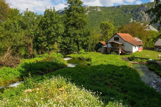 A small stream passing through Martin Brod village, Bihac, in the Una National Park. Una-Sana Canton, Federation of Bosnia and Herzegovina. Early September