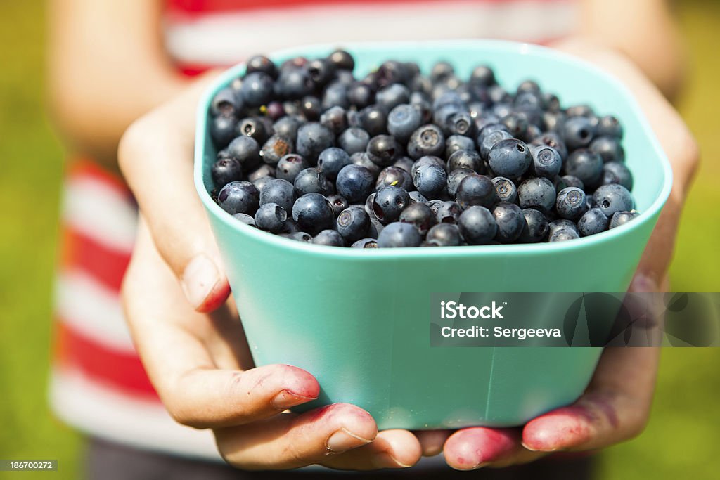 blueberries boy holding blueberries in a bowl Autumn Stock Photo