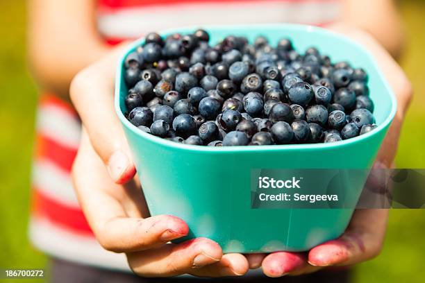 Blueberries Stock Photo - Download Image Now - Autumn, Berry Fruit, Blackberry - Fruit