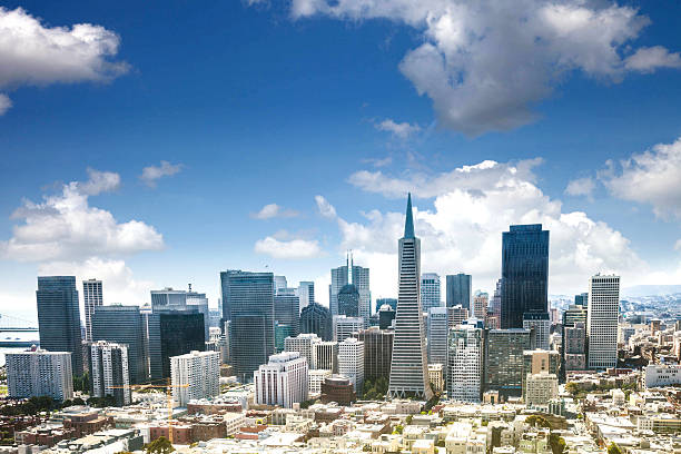 horizonte de são francisco em um dia ensolarado - tower coit tower san francisco bay area san francisco county - fotografias e filmes do acervo