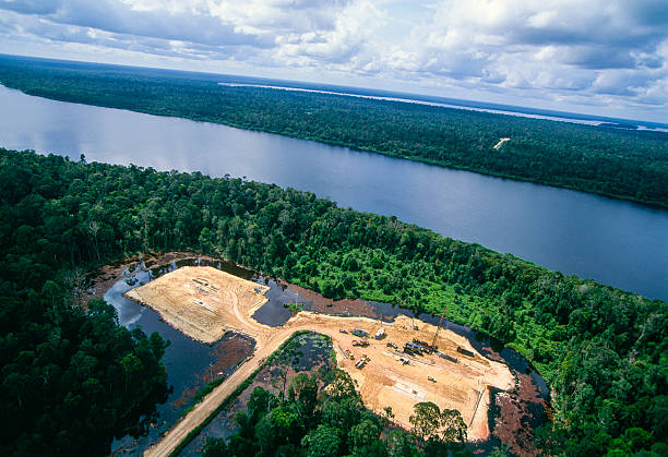 przemysł naftowy. - aerial view lumber industry oil tropical rainforest zdjęcia i obrazy z banku zdjęć