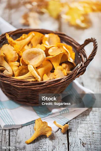 Chanterelles En Una Cesta Foto de stock y más banco de imágenes de Seta Chanterelle - Seta Chanterelle, Seta, Cesta