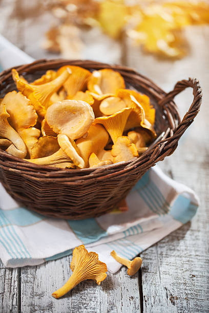 chanterelles 바스켓에 - chanterelle basket edible mushroom mushroom 뉴스 사진 이미지