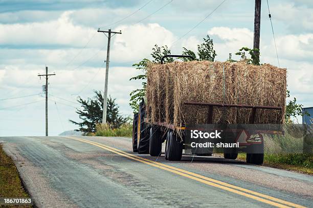 運ぶの干し草 - 道路のストックフォトや画像を多数ご用意 - 道路, トラクター, 農業機器