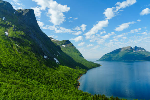 bela paisagem clássica de verão norueguês no mês de julho. montanhas poderosas prados, mar - lofoten and vesteral islands - fotografias e filmes do acervo