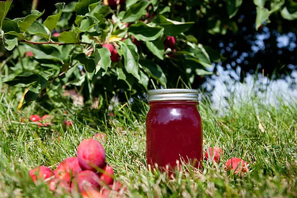 Jar of homemade crabapple jelly on the grass under a crab apple tree.