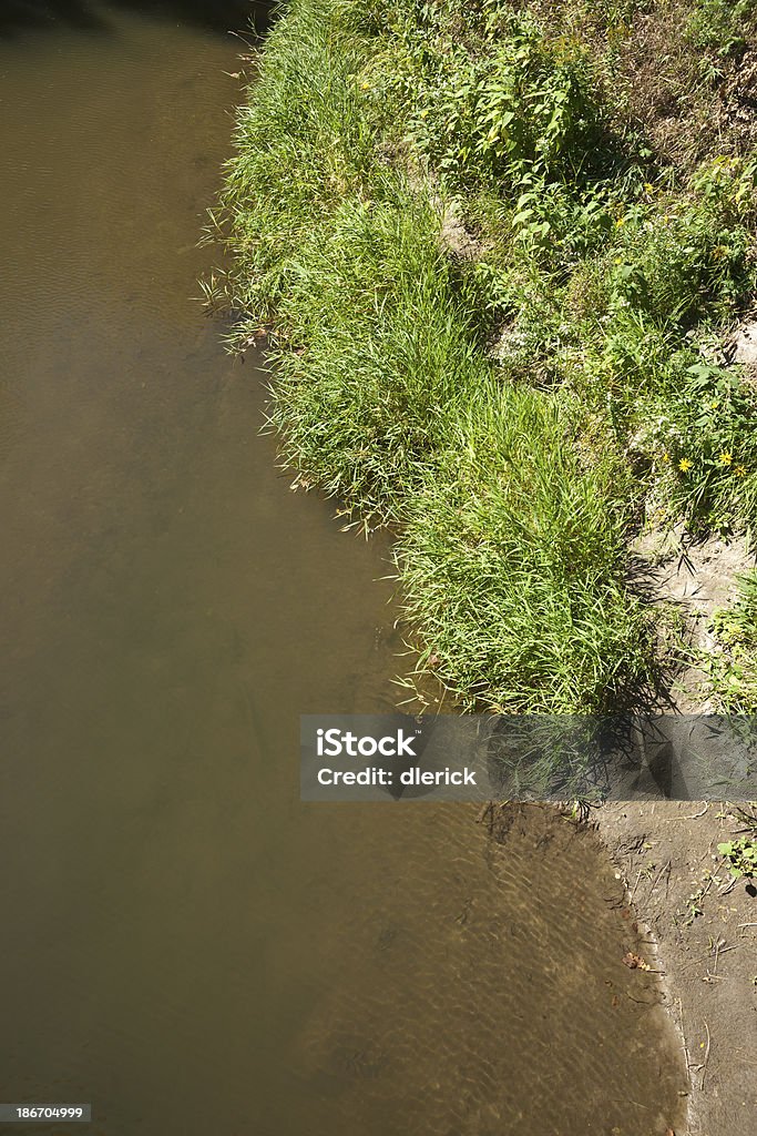 Mögliche Hintergrund mit Bäumen und die Gewässer - Lizenzfrei Bildhintergrund Stock-Foto