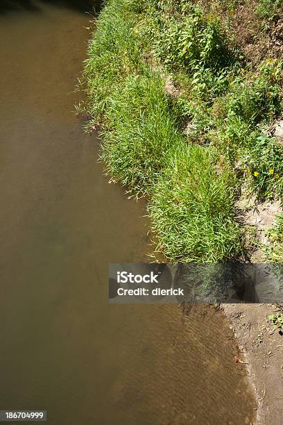 Mögliche Hintergrund Mit Bäumen Und Die Gewässer Stockfoto und mehr Bilder von Bildhintergrund - Bildhintergrund, Fluss, Fotografie