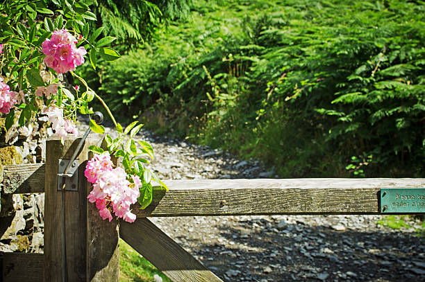 puerta de madera y rosas - nibthwaite fotografías e imágenes de stock