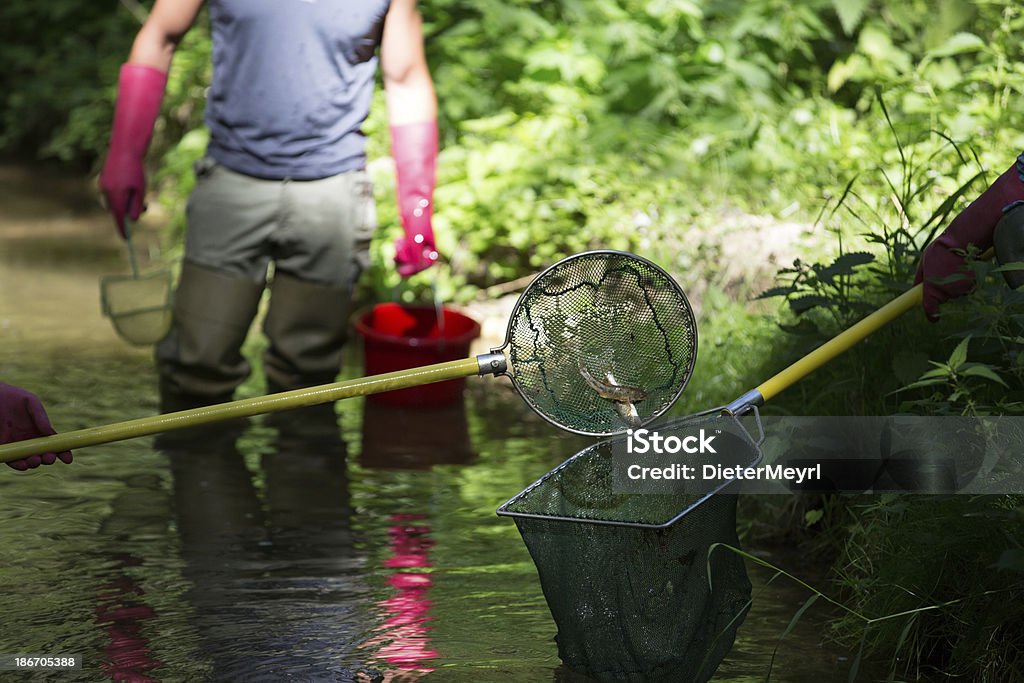 electrofishing - 로열티 프리 고여 있는 물 스톡 사진