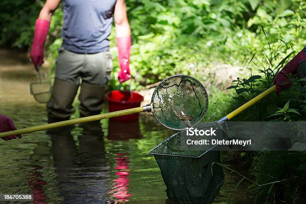 Electrofishing 고여 있는 물에 대한 스톡 사진 및 기타 이미지 - 고여 있는 물, 그레일링 호수, 기름 유출