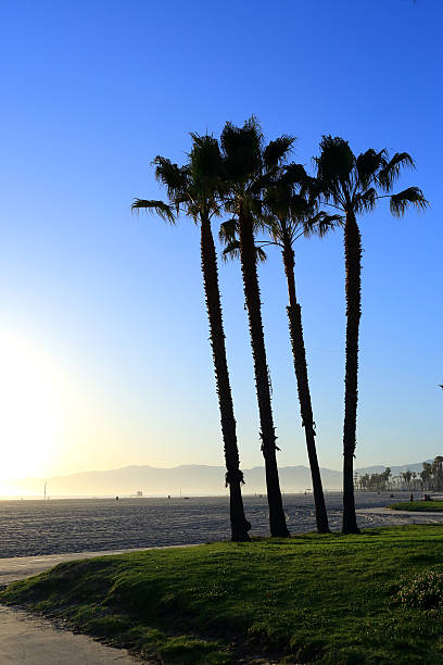 istock Santa Monica; Pier Sunset 186705917