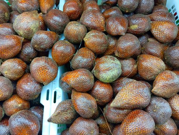 istock Salak fruits 1867074630