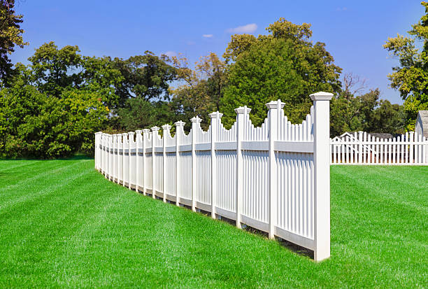 istock Vinyl Fence enclosing back yard 186707823