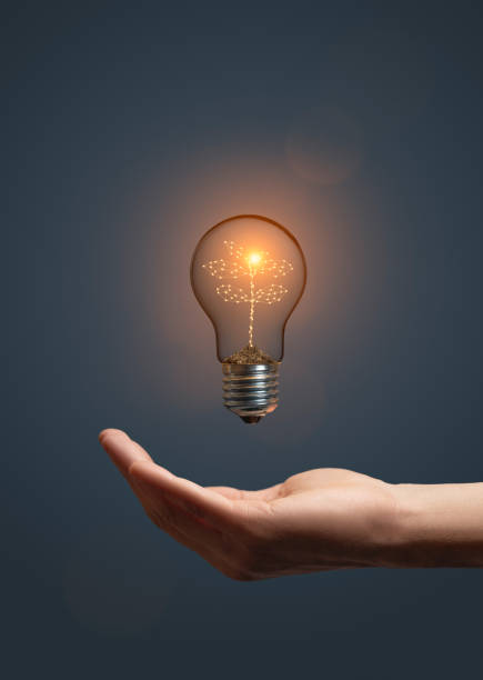 istock Classic light bulb with new life plant inside on dark 1867078849