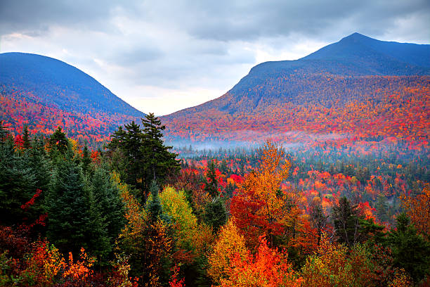 follaje de otoño en las montañas blancas de new hampshire - white mountain national forest fotografías e imágenes de stock