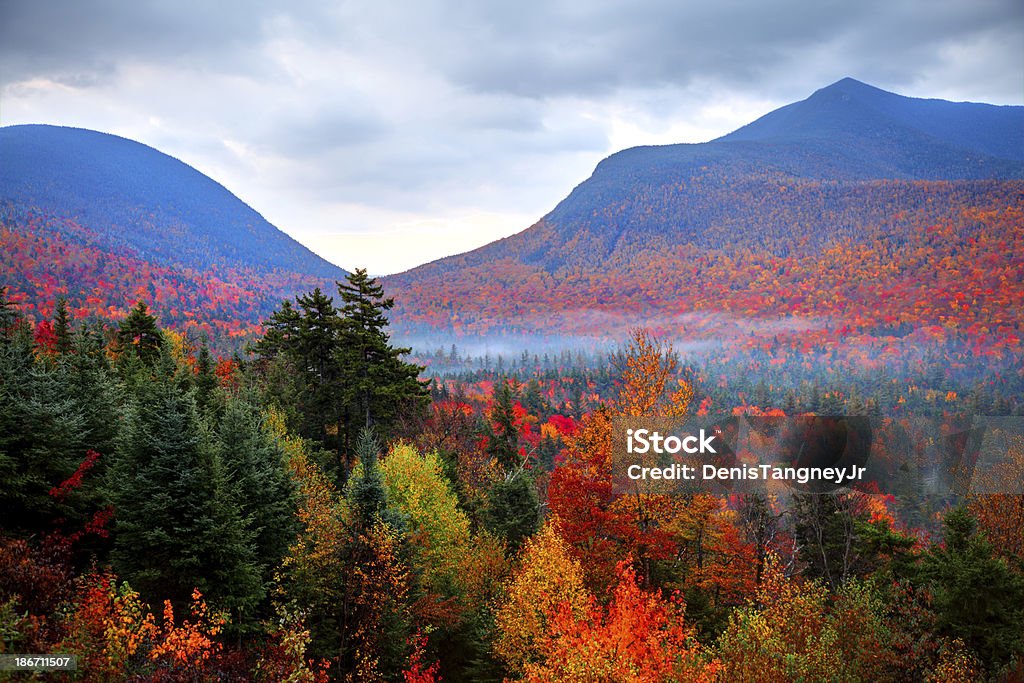 Feuillage d'automne dans les montagnes Blanches du New Hampshire - Photo de Automne libre de droits