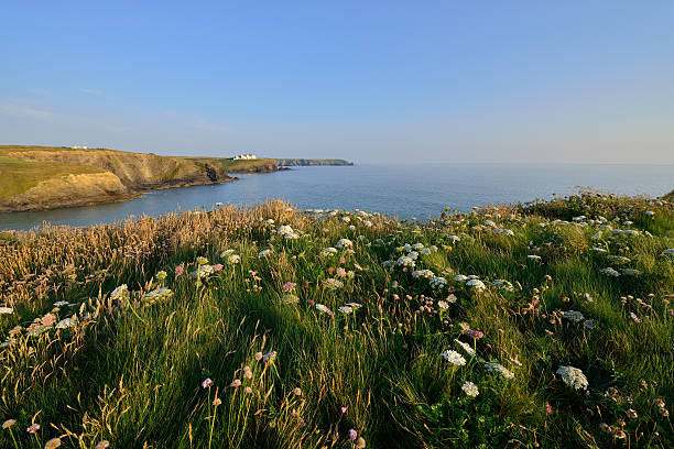 gunwalloe - lizard point imagens e fotografias de stock