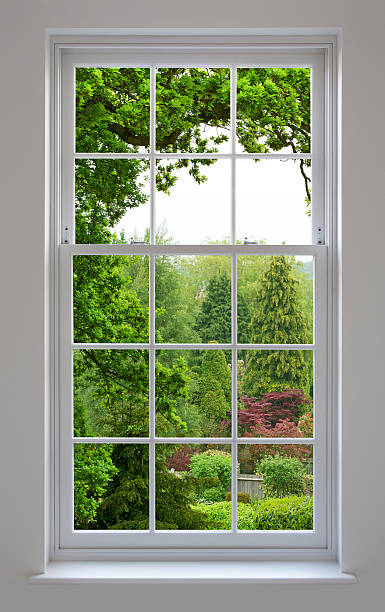 Georgian Windows with garden view a beautifully crafted set of white wood Georgian windows with views over a delightful, lush English garden setting with a large Oak tree overhanging in the foreground. window latch stock pictures, royalty-free photos & images