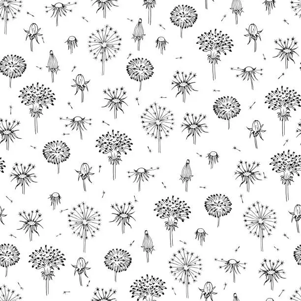 Vector illustration of Dandelions seamless. Fly seeds of dandelion. Summer background with black flowers and flying seed.