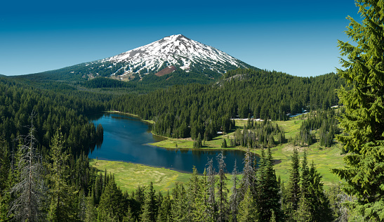 Todd Lake and Mt Bachelor, Oregon, USA. A beautiful panoramic photo of the lake and the mountain at the back. The forest very green also appear in the image. The weather conditions are excellent and the sky is very blue. Also the top of the mountain is snowed. 