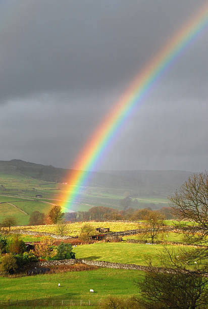 Cтоковое фото Rainbow