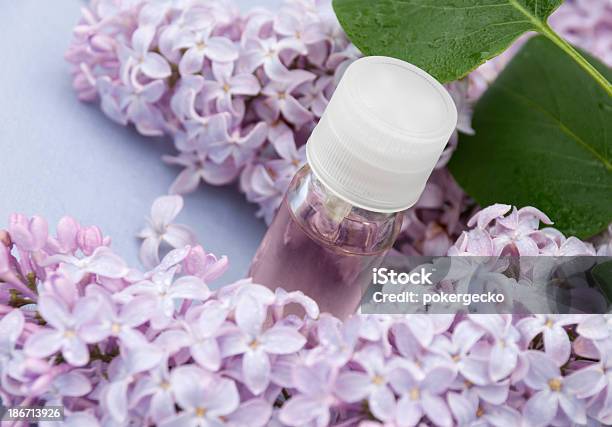 Lilla Olio Essenziale - Fotografie stock e altre immagini di Lillà - Lillà, Aromaterapia, Bellezza