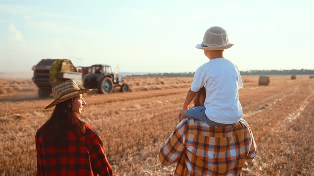 Family stands in wheat field and watches harvesting process. Combine harvester loading grain into transport truck. Crop in form grains, haystacks, straw. Baby boy sit on shoulders dad. Summer leisure.