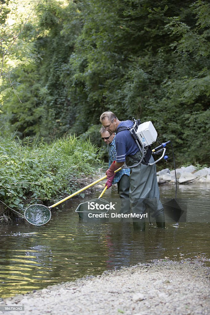 electrofishing - Foto stock royalty-free di Acqua