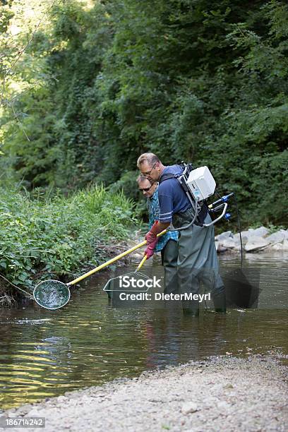 Electrofishing - Fotografie stock e altre immagini di Acqua - Acqua, Acqua stagnante, Afferrare