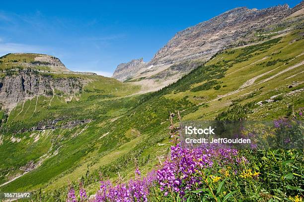 Meadow Of Fireweed Below Haystack Butte Stock Photo - Download Image Now - Butte - Montana, Butte - Rocky Outcrop, Uncultivated