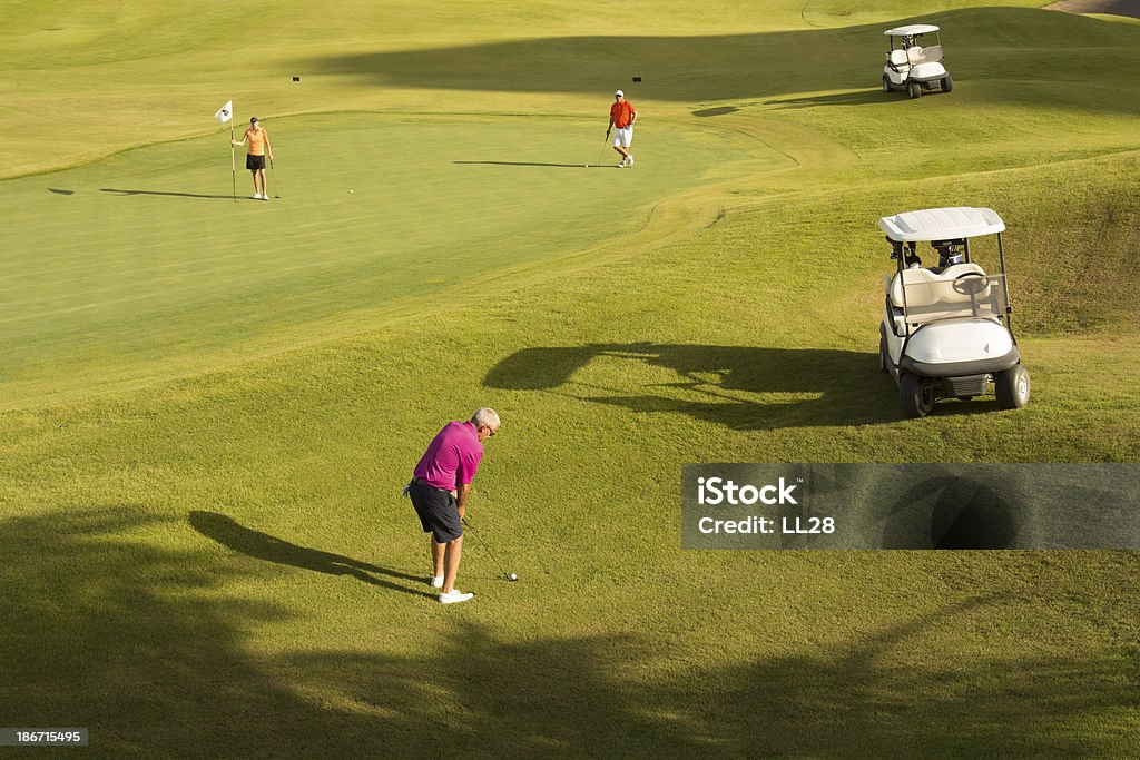 Uomo giocando a Golf con gli amici - Foto stock royalty-free di Veduta dall'alto