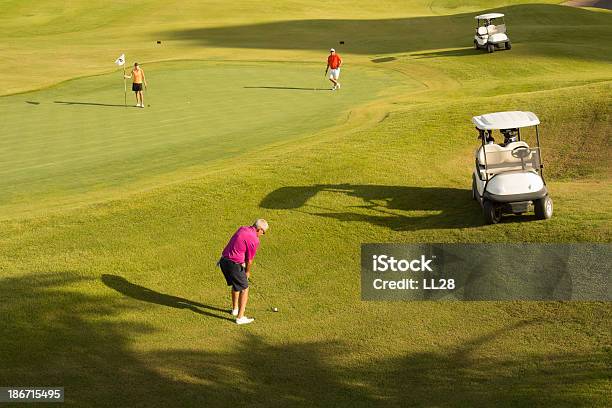 Uomo Giocando A Golf Con Gli Amici - Fotografie stock e altre immagini di Veduta dall'alto - Veduta dall'alto, Giocare, Persone