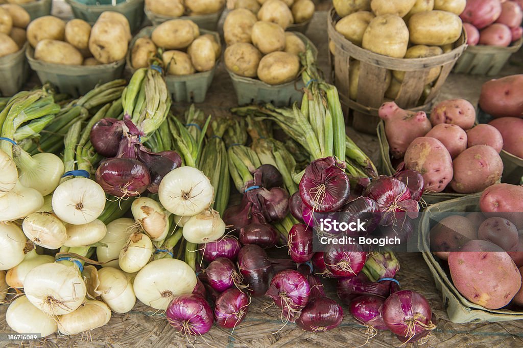 Oignons pommes de terre & - Photo de Oignon libre de droits