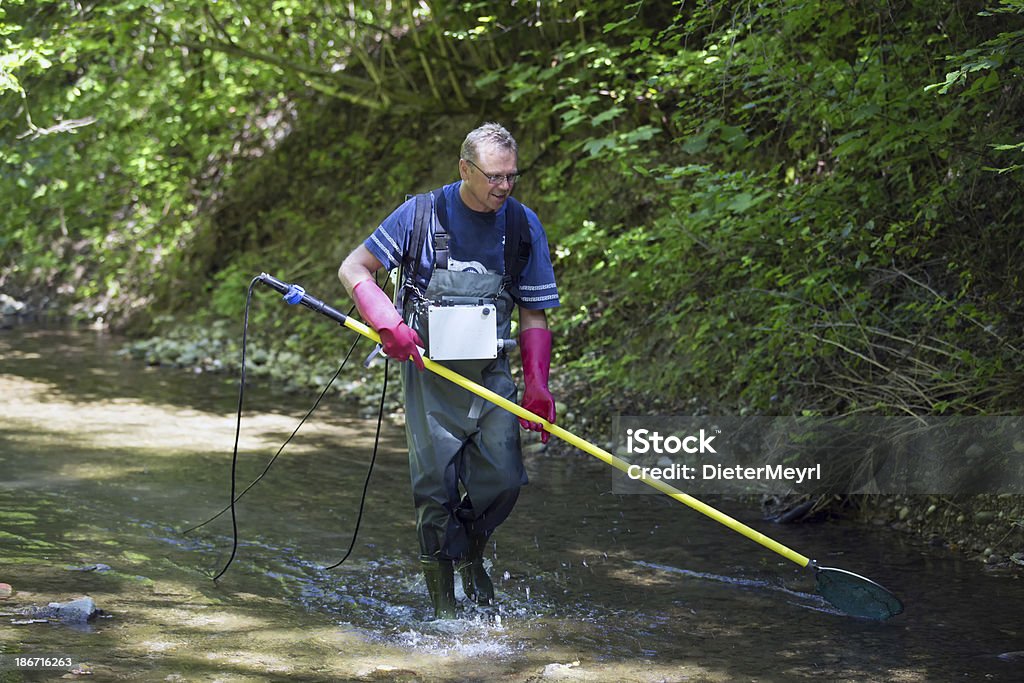 electrofishing - Lizenzfrei Bartel Stock-Foto