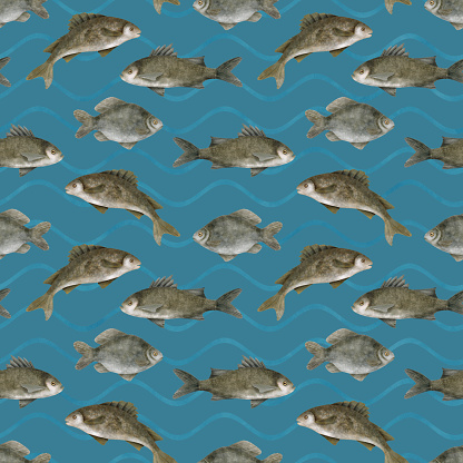 Watercolor freshwater fish seamless pattern. Hand drawn European carp, common perch, bass fish on blue water background. School of fish illustration. Lake, river fishing. Seafood, packaging design