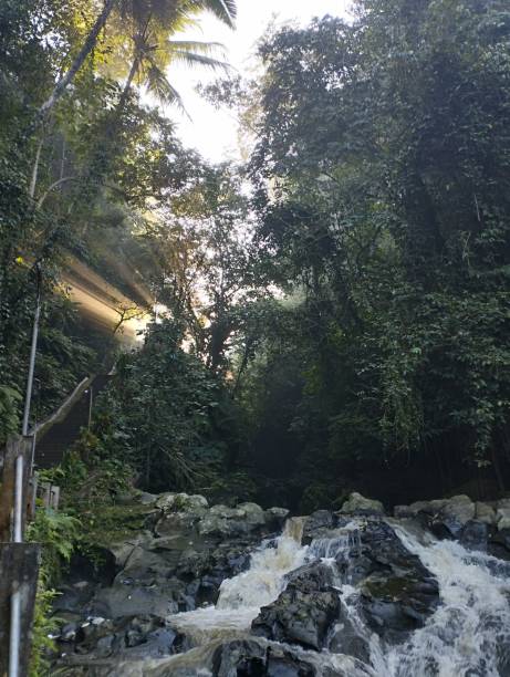 istock view in the morning from under the waterfall 1867179930