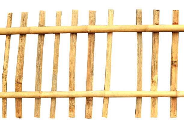 Bamboo woven into a small fence isolated on white background with clipping path.