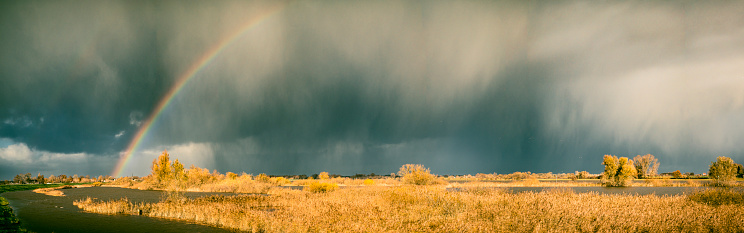 A massive thunderstorm over a canola field. Giant supercell hailstorm over a ripe canola field in the American Midwest. Location: Kansas. Beautiful rainbow and awesome drama in the sky as this stunning storm rumbles across the great plains. Nobody is in the image. Themes include weather, meteorology, hail, agriculture, canola, cloud seeding, rainbows, insurance, and prairie scenic.  