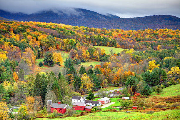 outono na berkshire hills - berkshire mountains - fotografias e filmes do acervo