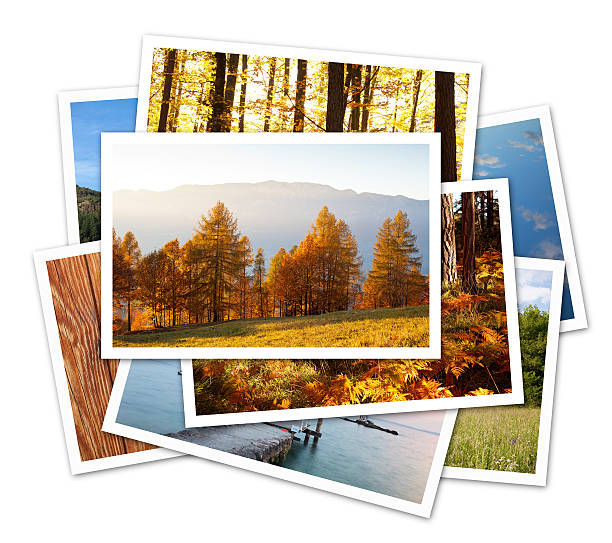 stack of autumn landscape photos