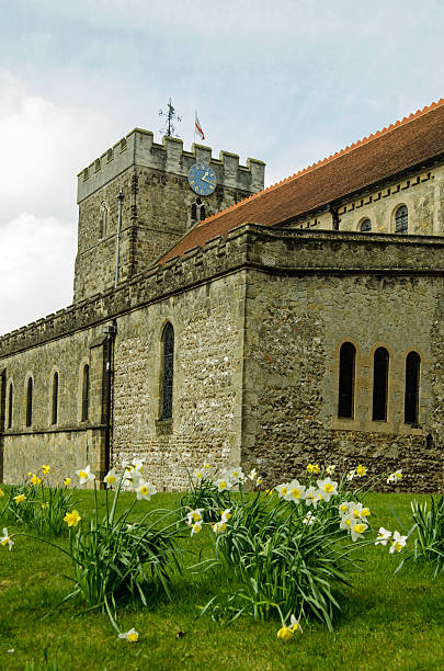 St Peter's Church with daffodils, Petersfield The historic church of St Peter surrounded with daffodils in Petersfield, Hampshire. petersfield stock pictures, royalty-free photos & images