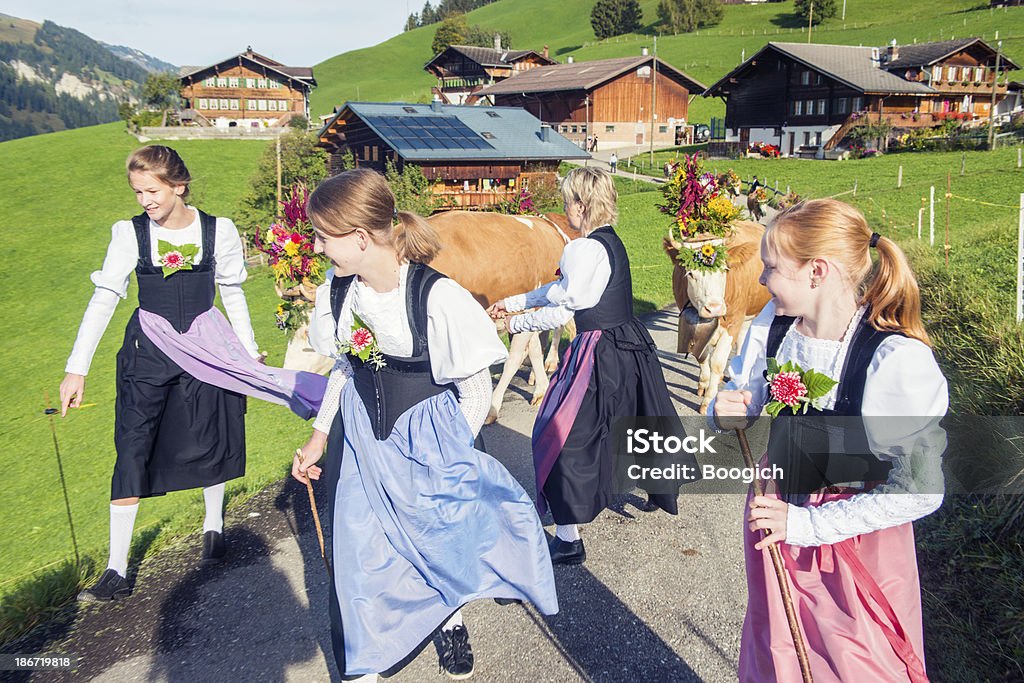 As fêmeas Conduzir gado suíço montanha - Foto de stock de Adolescente royalty-free