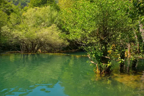 The River Una below Milancev Buk waterfall at Martin Brod in Una-Sana Canton, Federation of Bosnia and Herzegovina. Located in Una National Park, it is also known as Veliki Buk or Martinbrodski