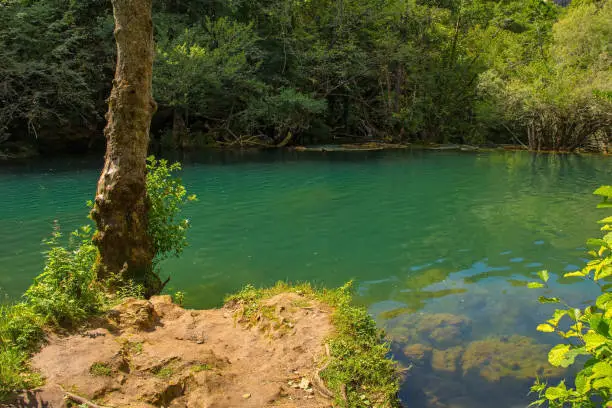 The River Una below Milancev Buk waterfall at Martin Brod in Una-Sana Canton, Federation of Bosnia and Herzegovina. Located in Una National Park, it is also known as Veliki Buk or Martinbrodski