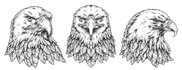Vector illustration of American eagle monochrome set sticker